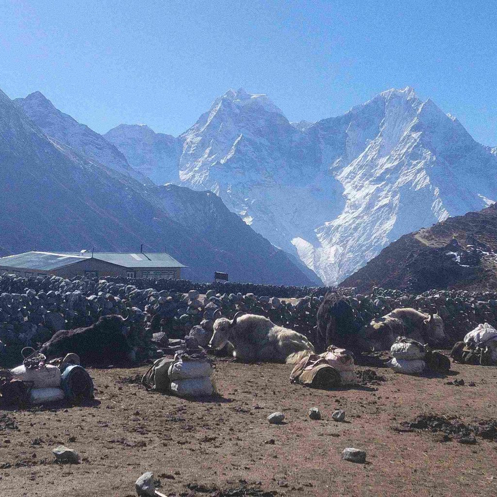 Back-to-Machermo-Gokyo-Lake-Trek